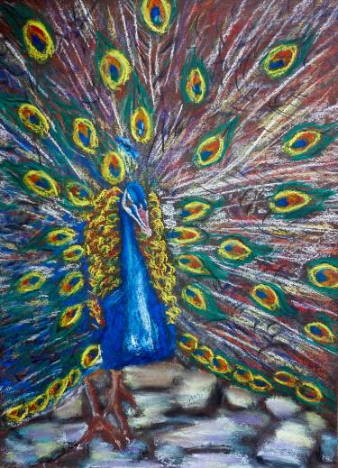375x519 Proud As A Peacock Drawing - Peacock Drawing Images