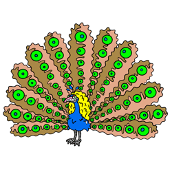 250x250 Cartoon Peacock Step - Peacock Drawing Images
