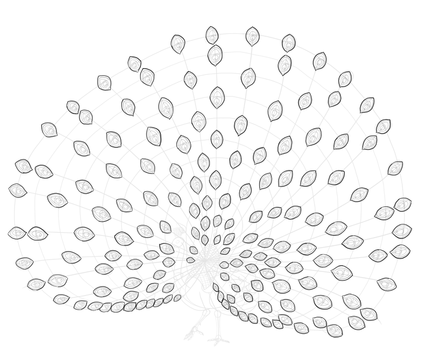 850x700 How To Draw A Peacock - Peacock Drawing Outline