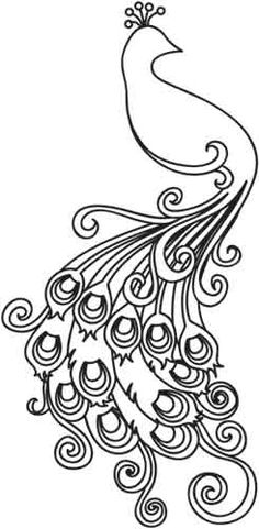 236x481 Peacock Drawing Outline - Peacock Drawing Outline