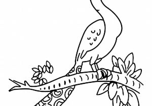 300x210 peacock drawing outline animals for gt peacock outline sketch - Peacock Drawing Outline