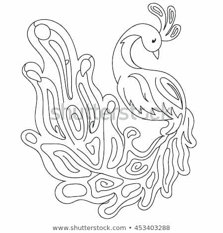 450x470 peacock outline easy drawings of a peacock peacock drawing - Peacock Drawing Outline