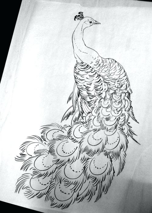 Peacock Drawing Outline at PaintingValley.com | Explore collection of ...