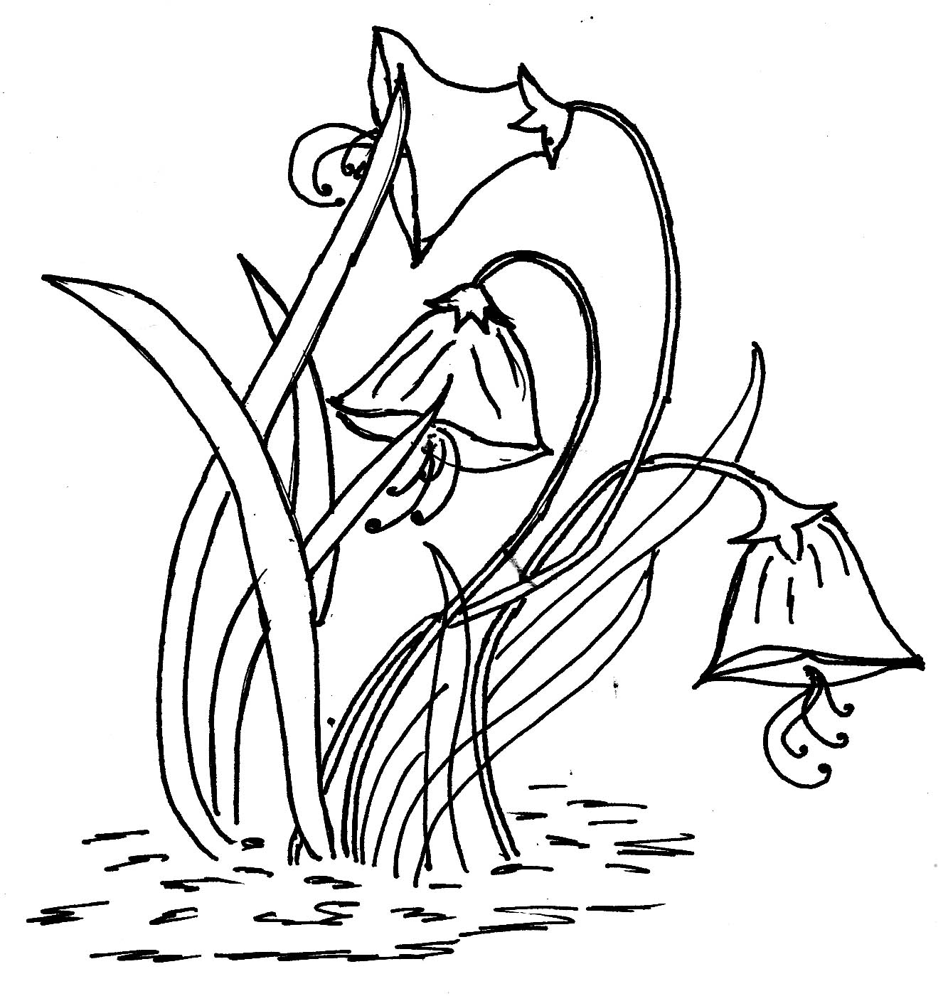 1333x1401 Simple Drawing For Glass Painting Peacock Drawing Outline - Peacock Drawing Outline