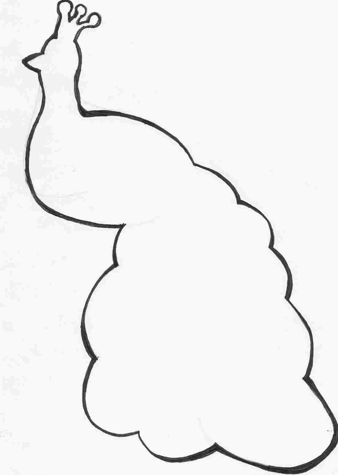 1100x1547 outline outline sketch of peacock of a peacock drawing - Peacock Drawing Outline