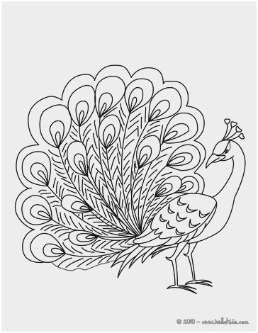364x470 New Release Stocks Of Peacock Coloring Pages Coloring Pages - Peacock Drawing Outline