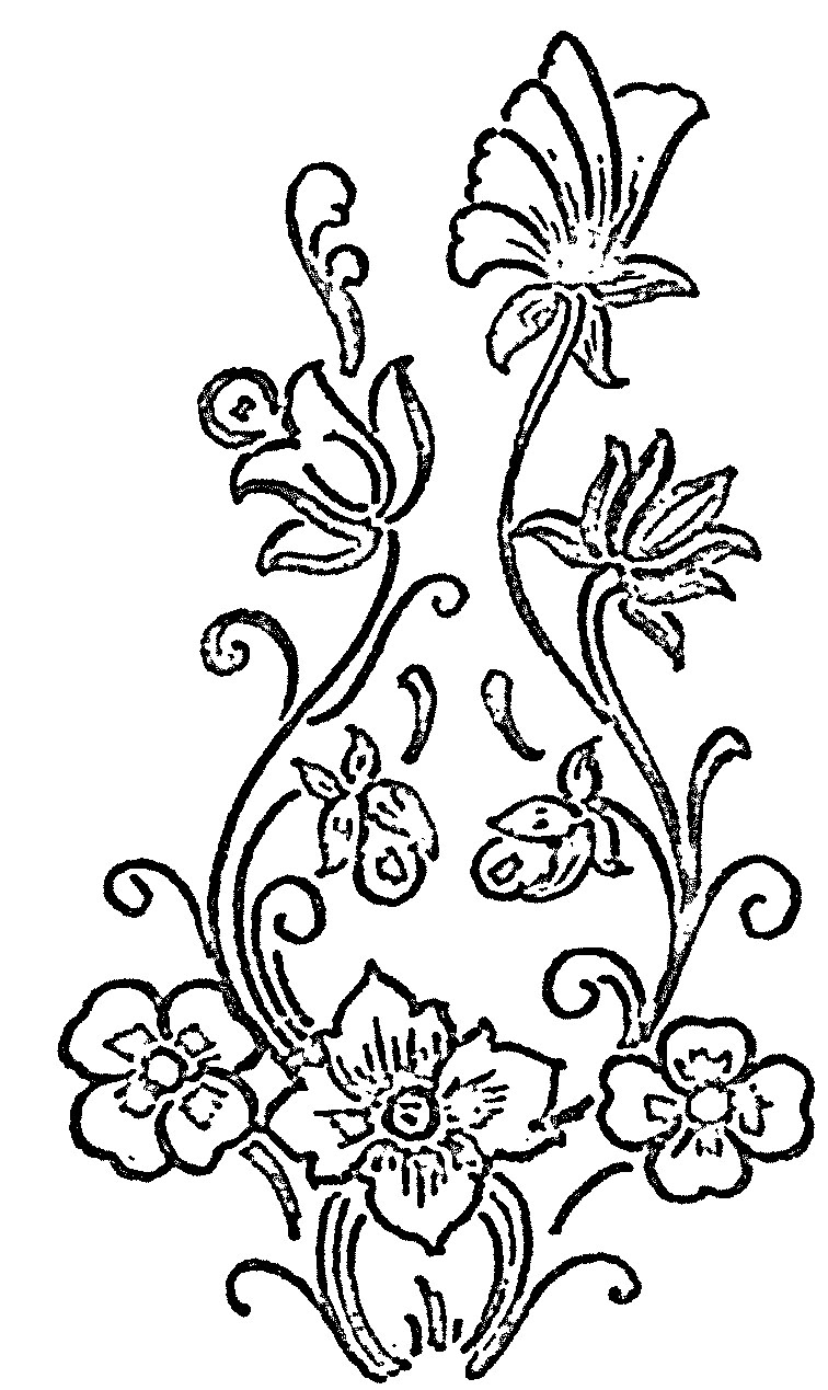 756x1269 peacock drawing outline for glass painting - Peacock Drawing Outline For Glass Painting