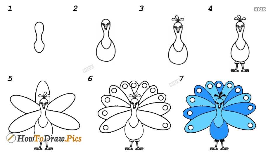 934x534 How To Draw A Peacock Step - Peacock Drawing Step By Step