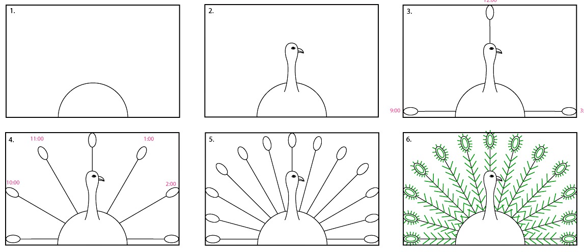 1147x496 How To Draw A Step - Peacock Drawing Step By Step