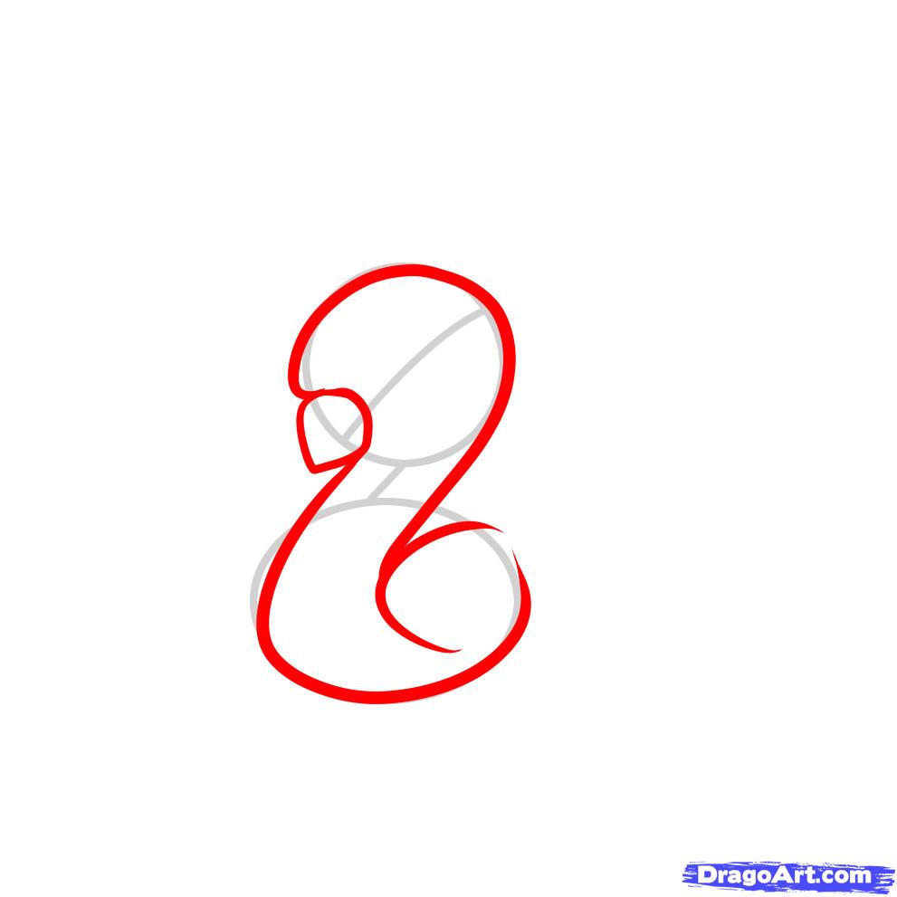 991x991 How To Draw A Peacock For Kids, Step - Peacock Drawing Step By Step