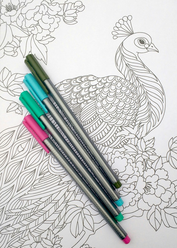 567x795 Step - Peacock Drawing Step By Step