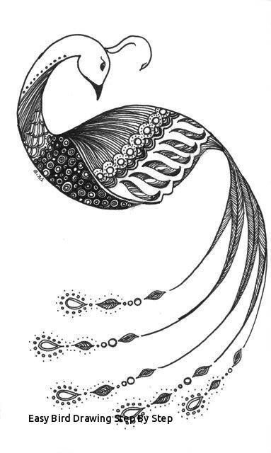 383x640 Easy Bird Drawing Step - Peacock Drawing Step By Step