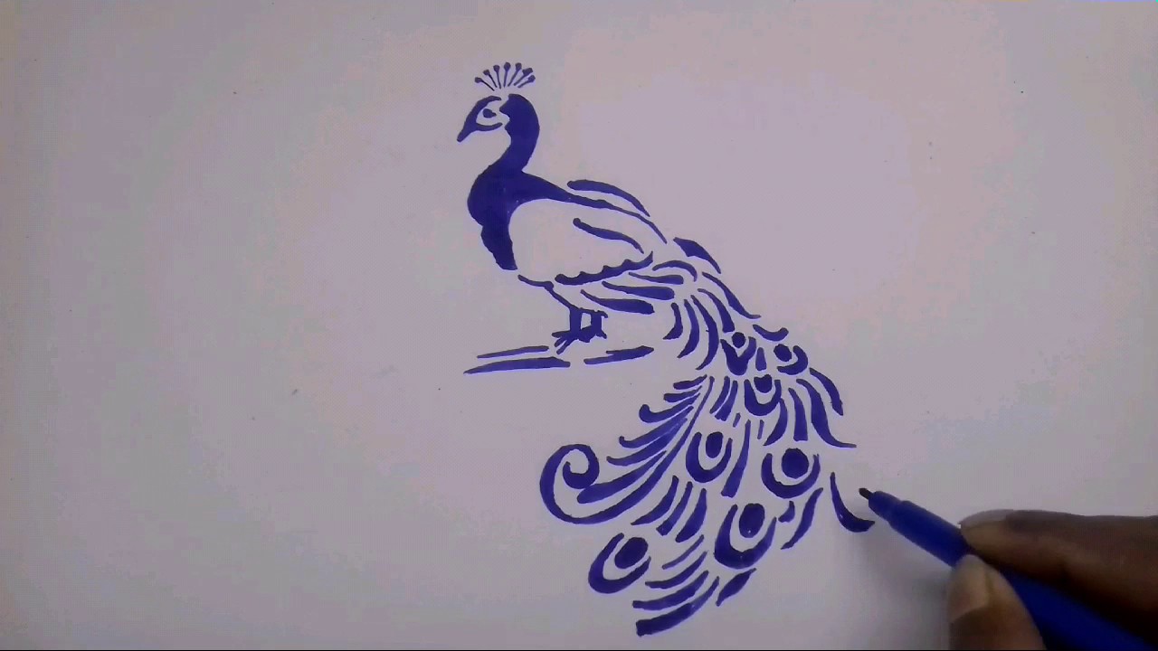 1280x720 How To Draw A Peacock - Peacock Drawing Tattoo