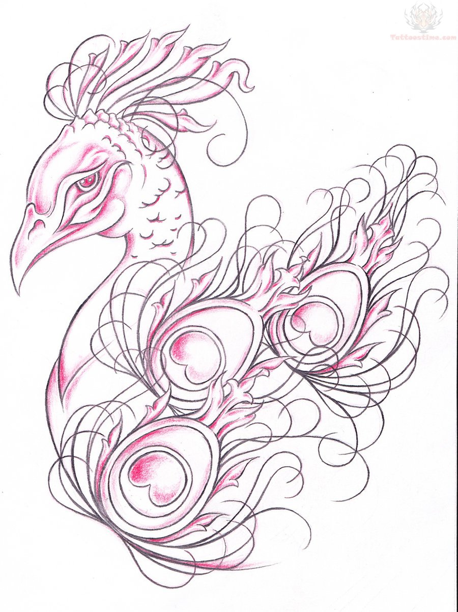900x1204  - Peacock Drawing Tattoo