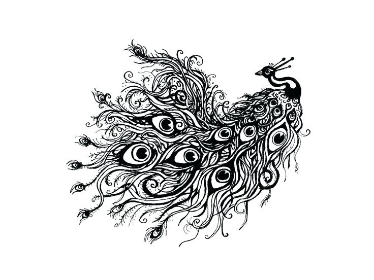 736x552 Peacock Black And White Image Result For Peacock Tattoo Black - Peacock Drawing Tattoo