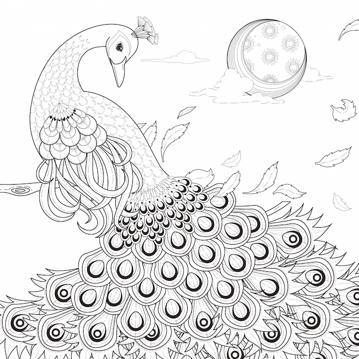 700x700 Peacock Feather Tattoo - Peacock Drawing Tattoo