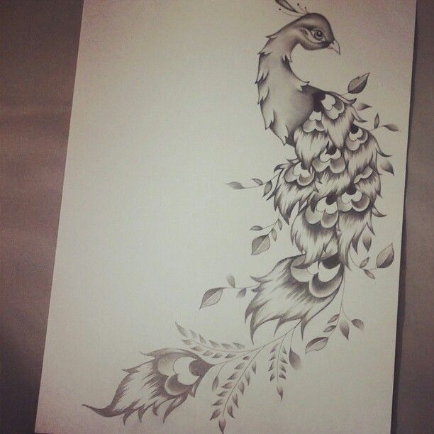 612x612 Peacock Drawing - Peacock Drawing Tattoo