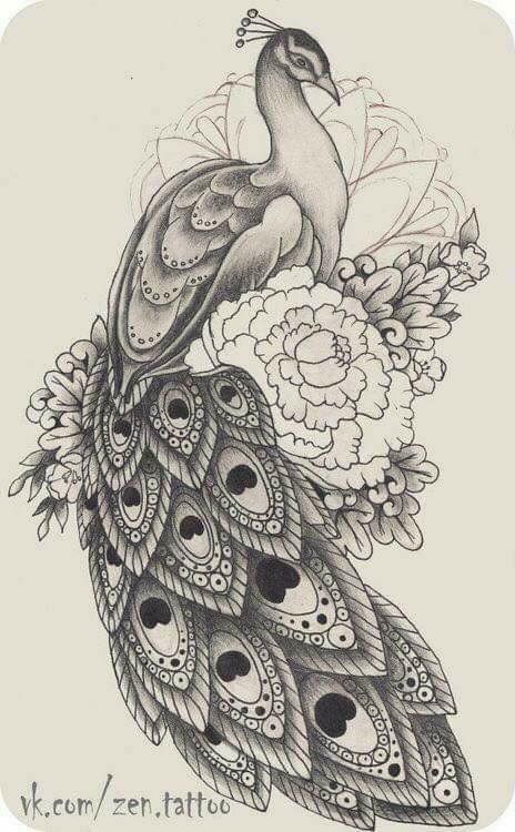 464x750 peacocks peacock drawing, tattoo - Peacock Drawing Tattoo