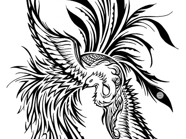 600x450 This Peacock Tattoo Outline Best Design - Peacock Drawing Tattoo