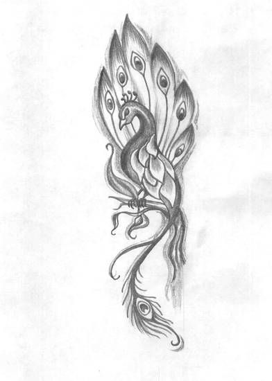 392x550 Peacock Drawing Tattoo - Peacock Drawing Tattoo