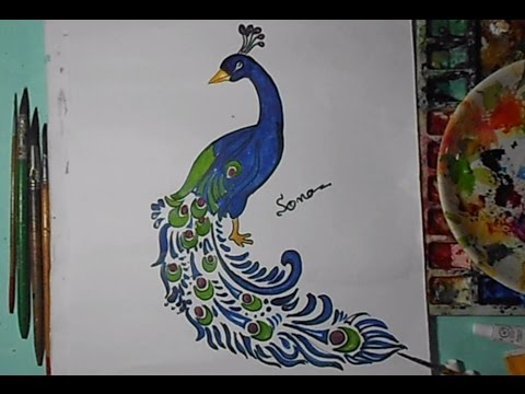 Peacock Drawing With Colour at PaintingValley.com | Explore collection ...