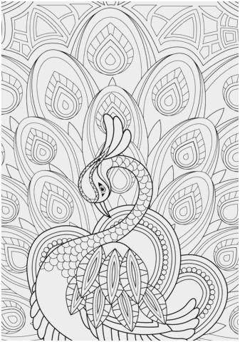 337x480 Peacock Coloring Pages To Print Cute Best Peacock Drawing - Peacock Drawing With Colour