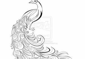 300x210 peacock drawing sketch dancing peacock sketch sketches of peacock - Peacock Drawing With Colour