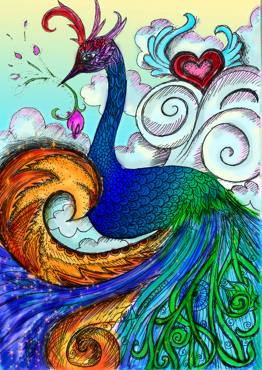 900x1270 peacock drawing with colour - Peacock Drawing With Colour