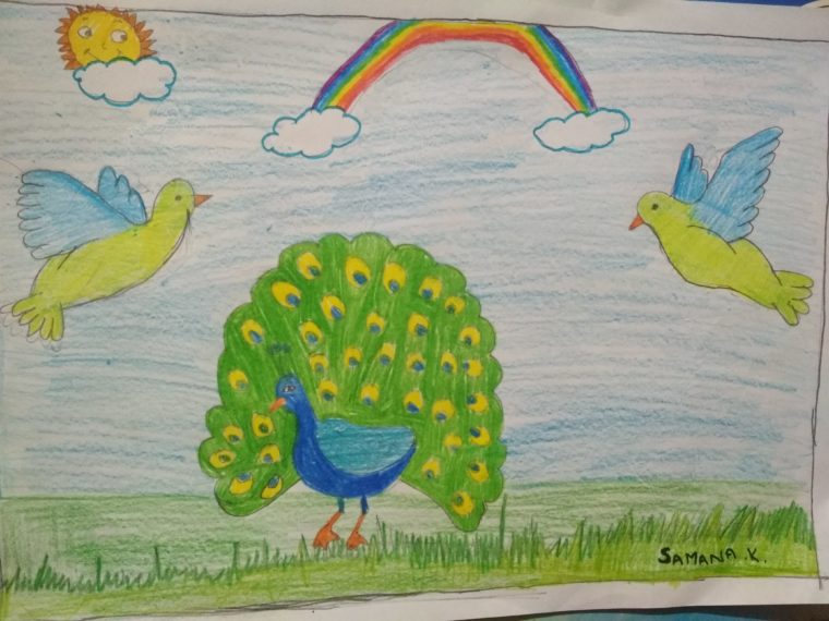 760x570 Peacock Dance - Peacock Drawing With Colour