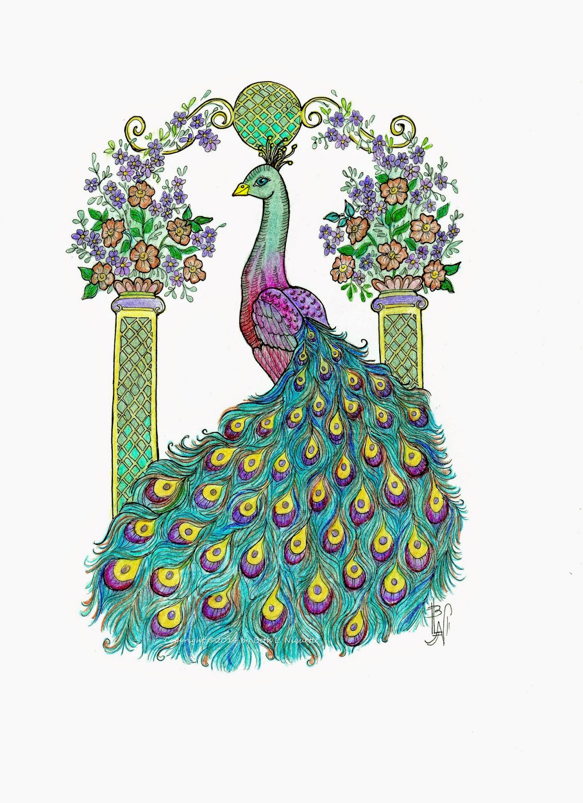 1162x1600 pictures of peacock drawing with colour - Peacock Drawing With Colour