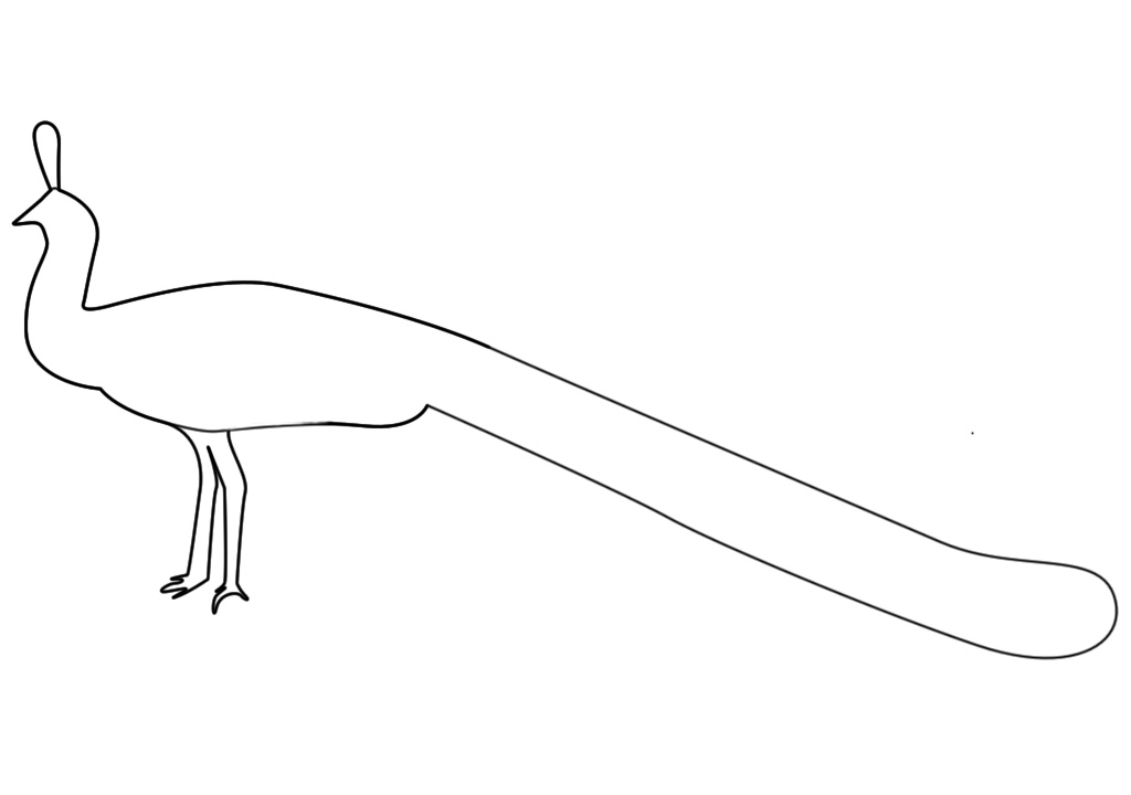 1024x720 The Beautiful Peacock - Peacock Drawing With Colour