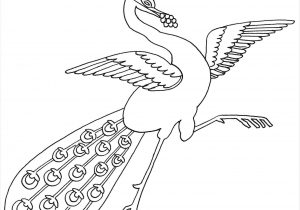 300x210 how peacock drawing with colour easy to draw a peacock - Peacock Drawing With Colour