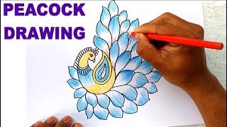 320x180 all clip of colour sketch of peacock - Peacock Drawing With Colour