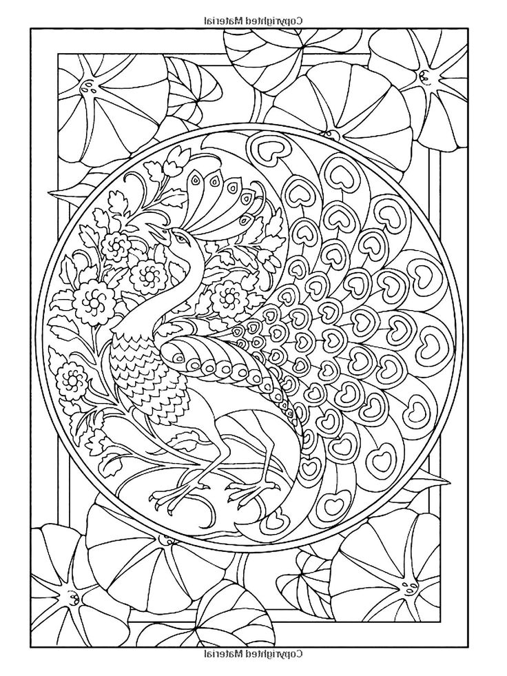 736x981 Best Colored Pencils For Adult Coloring Books Elegant Photos - Peacock Drawing With Colour