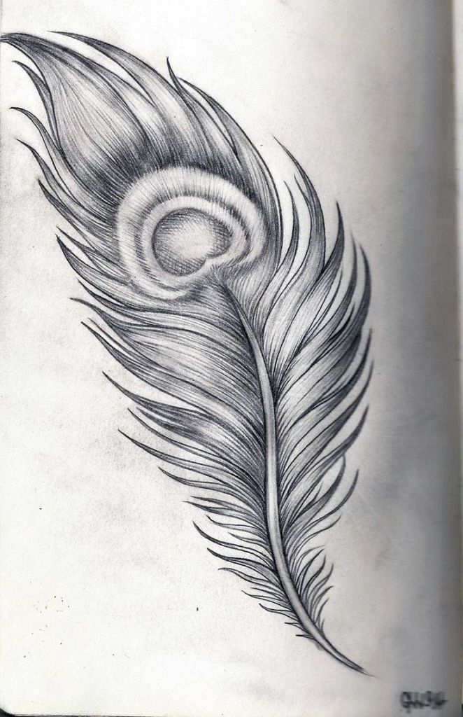 Peacock Feather Sketch at PaintingValley.com | Explore collection of ...