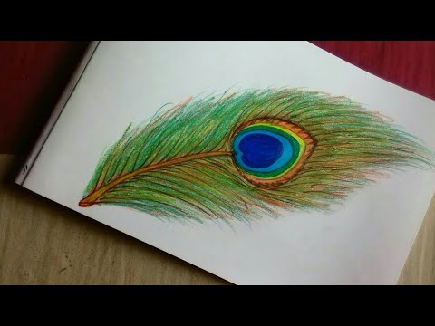 480x360 how to draw beautiful peacock feather - Peacock Feather Drawing