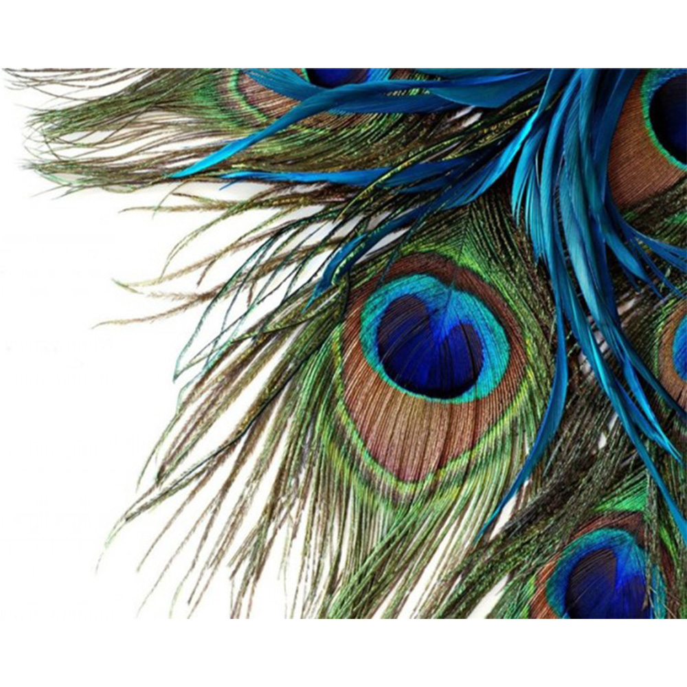 1000x1000 kai ping mei park diamond embroidery peacock feather diy - Peacock Feather Drawing