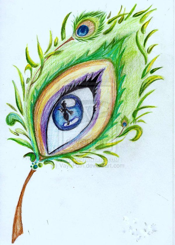 600x841 peacock feather drawing peacock feather eye - Peacock Feather Drawing