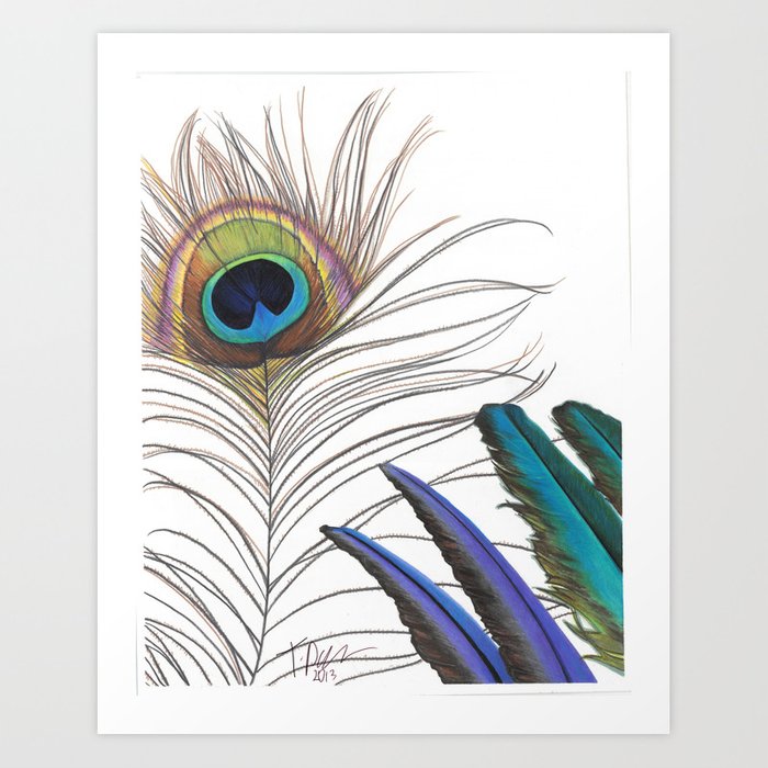 700x700 peacock feather drawing art print - Peacock Feather Drawing