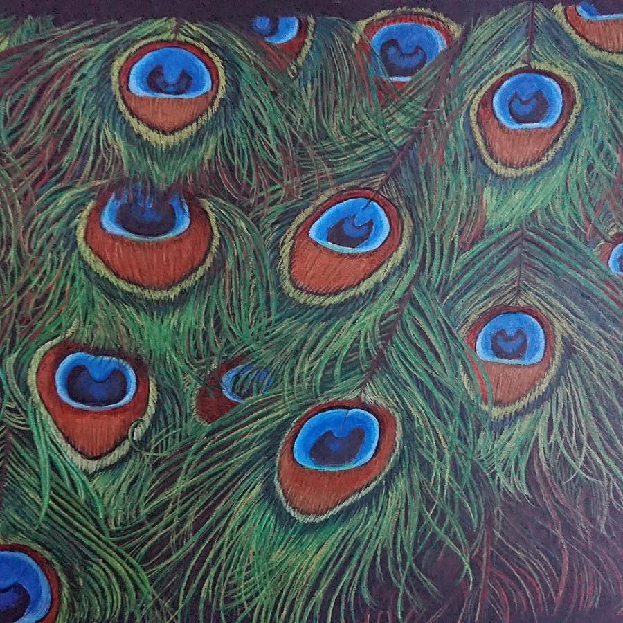 900x900 peacock feathers drawing - Peacock Feather Drawing