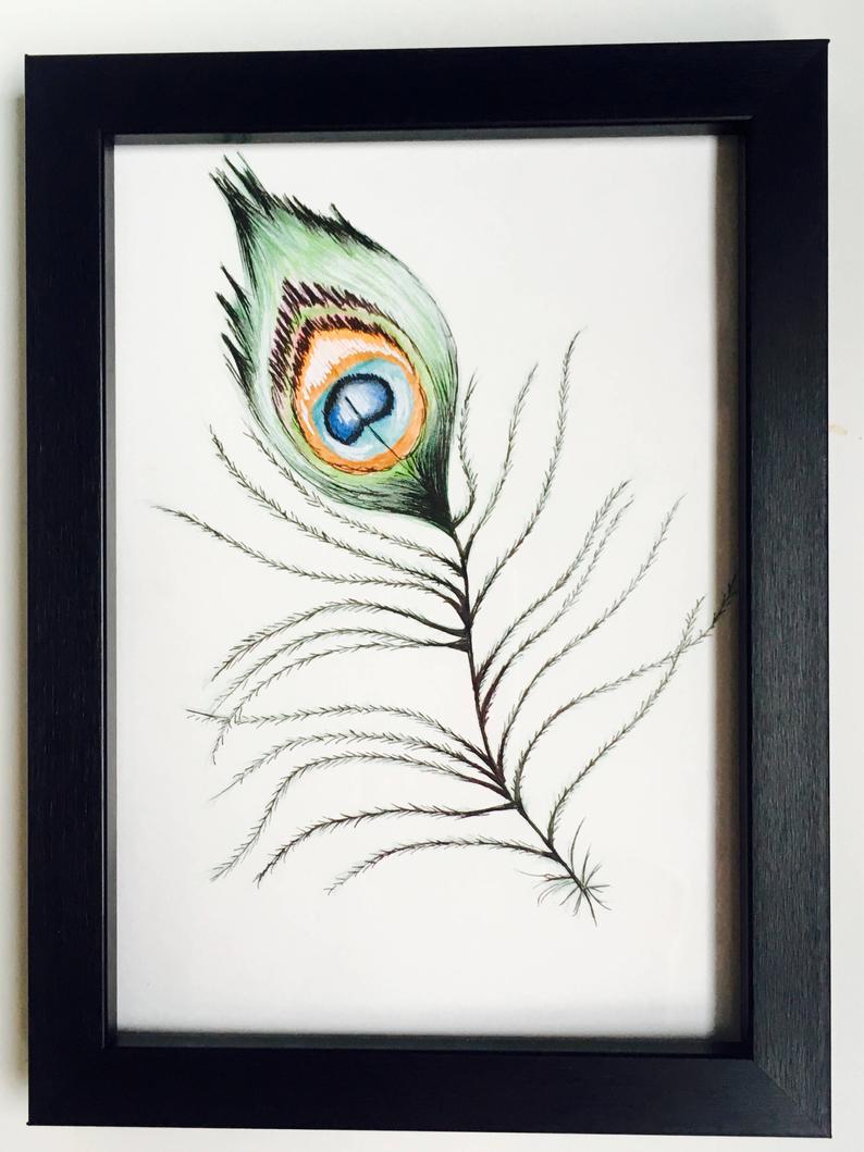 794x1059 peacock feather drawing etsy - Peacock Feather Drawing