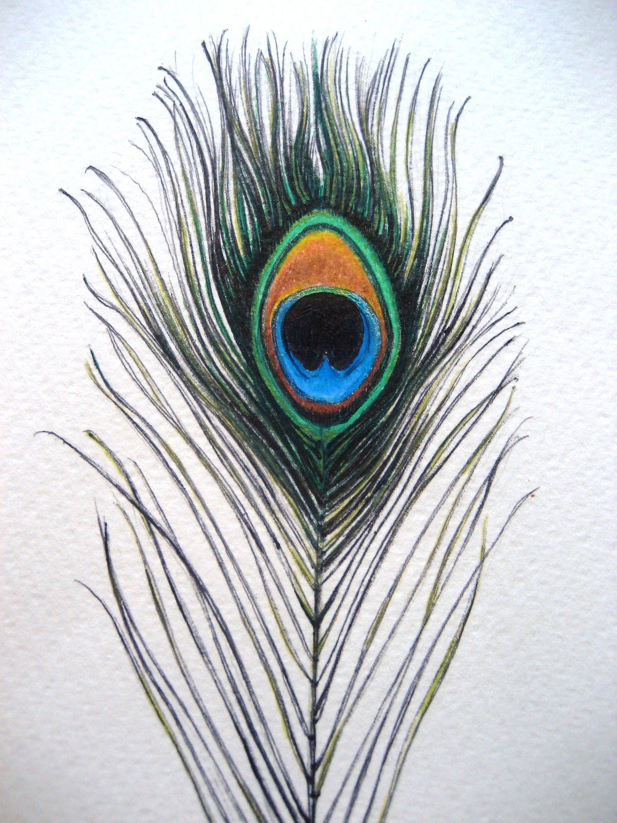 1200x1600 Patio Inspirations Feather - Peacock Feather Drawing