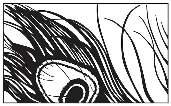 599x370 peacock feather art print - Peacock Feather Line Drawing