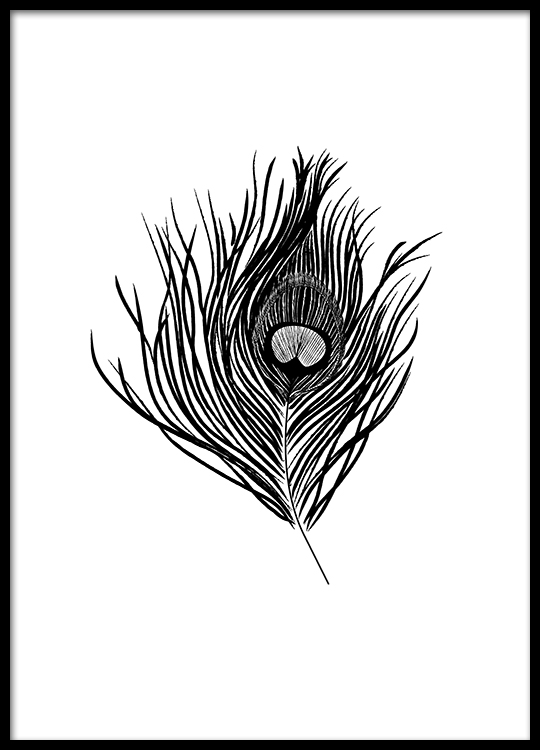 540x750 peacock feather poster - Peacock Feather Line Drawing