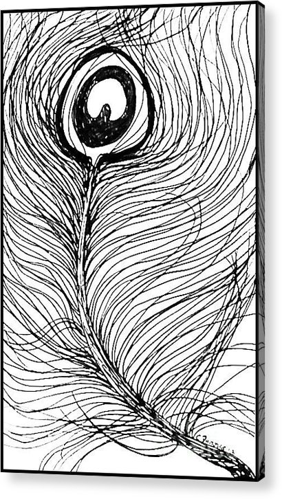 410x726 peacock feather sketch in ink acrylic print - Peacock Feather Line Drawing
