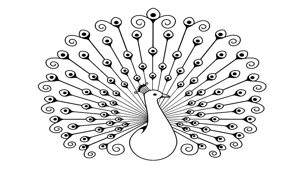 1280x720 Coloring Pages How To Draw A Peacock With Open Feather Step - Peacock Line Drawing