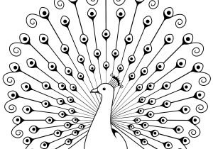 300x210 How To Draw A Simple Peacock - Peacock Line Drawing