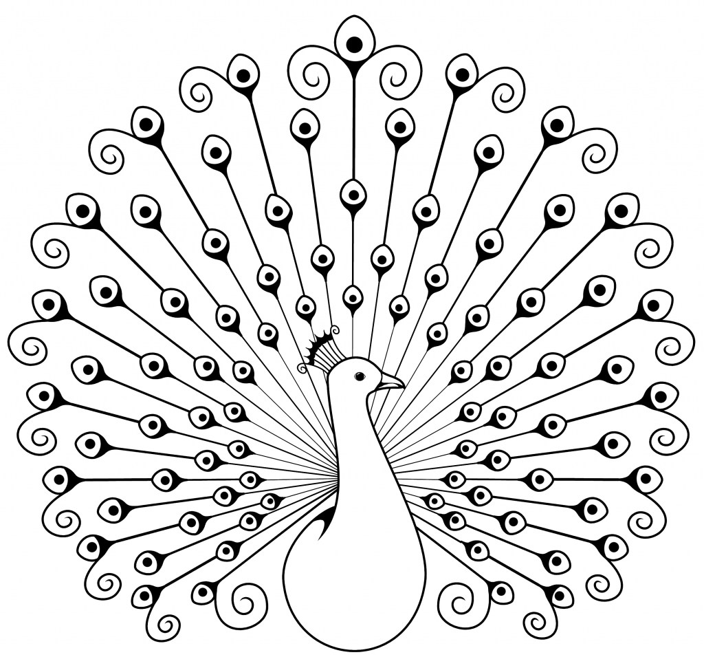 1024x955 How To Draw Easy Cute Peacock Vintage Peacock Drawing - Peacock Line Drawing