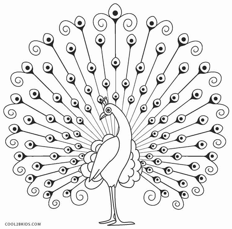 750x739 Peacock Coloring Sheet Fivestarjet - Peacock Line Drawing