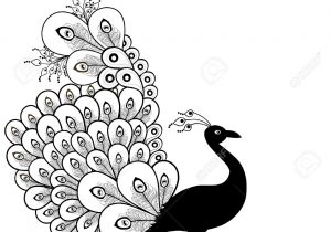 300x210 Peacock Drawing Image Line Art Peafowl Drawing Clip Art - Peacock Line Drawing